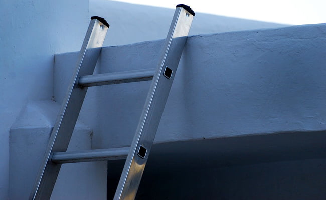 la loi de l'échelle